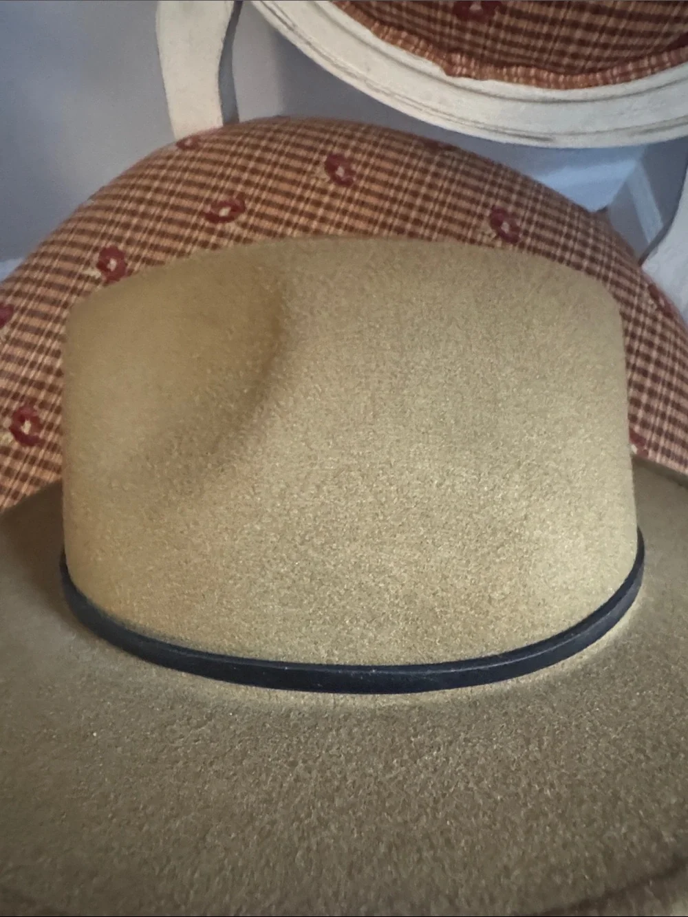 Fedora Hat with Black Band